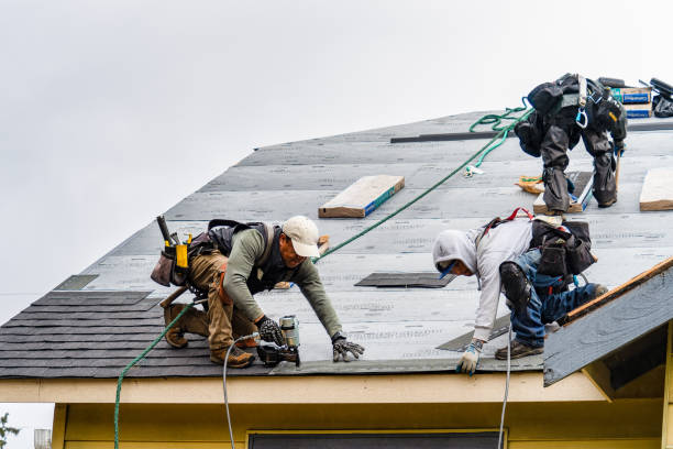Professional Storm Damage Roof Repair technician working in Quitman, TX